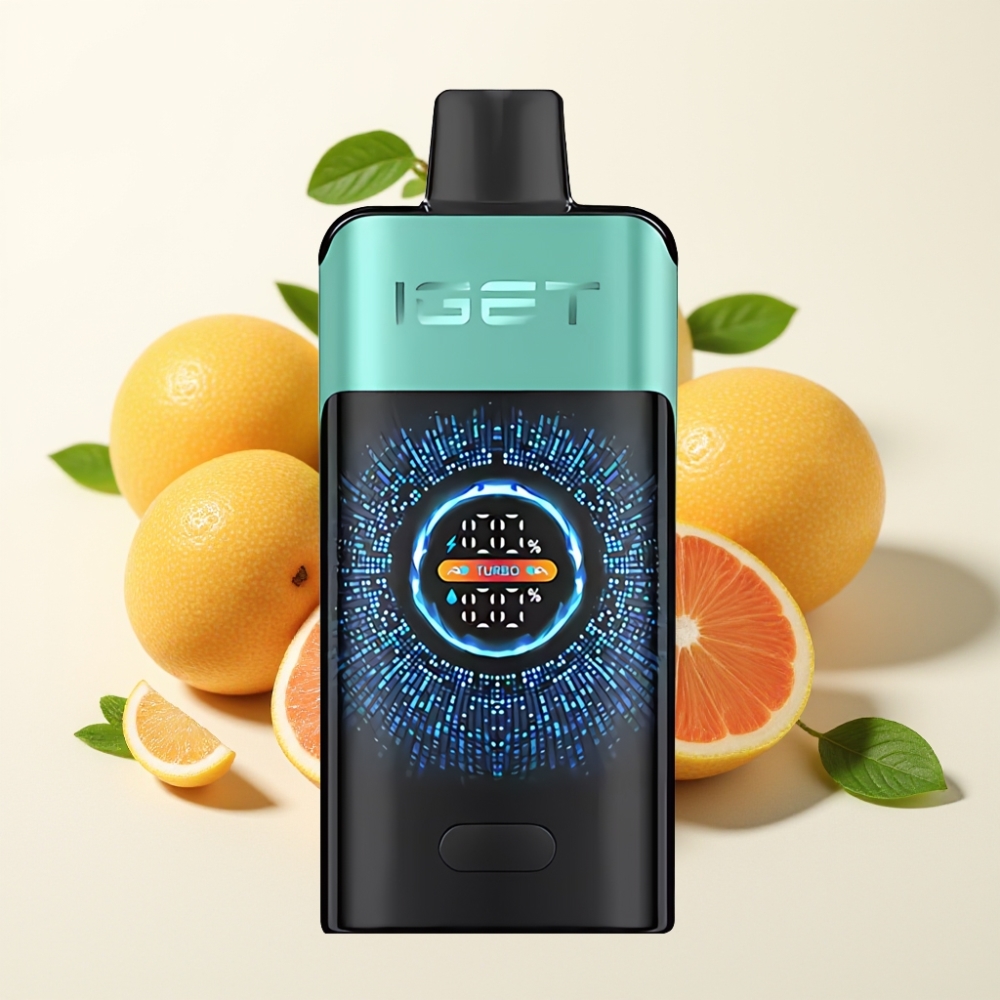 IGET ONE 12000 Puffs Desechable Vaporizador Montaña Primavera Menta Hielo 2700 mAh