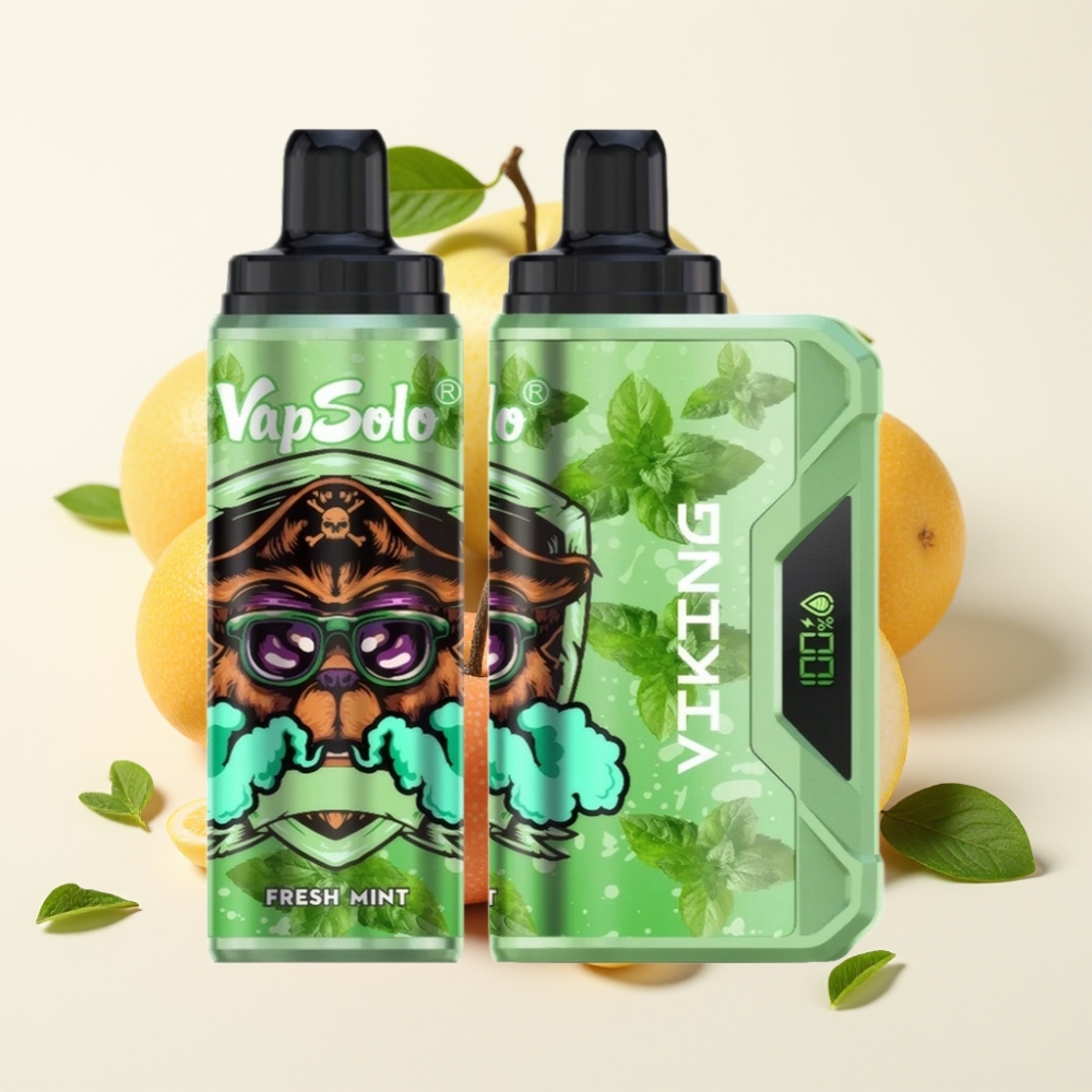 VapSolo VIKING 12000 Puffs Menta Fresca Tipo-C 22ml