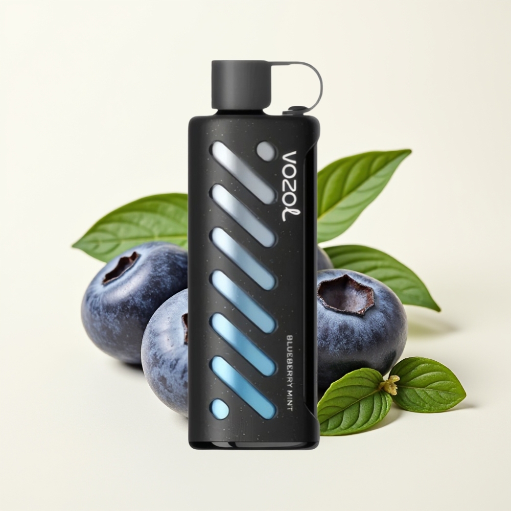 VOZOL Gear Shisha 25000 Puffs Menta Arándano Dual Mesh 1000mAh