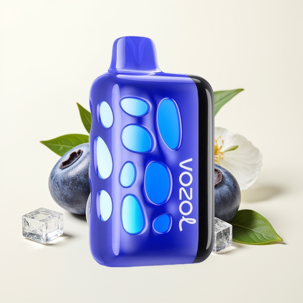 VOZOL RAVE 40000 Vape Desechable Arándano Helado con 270° Diseño Vibrante