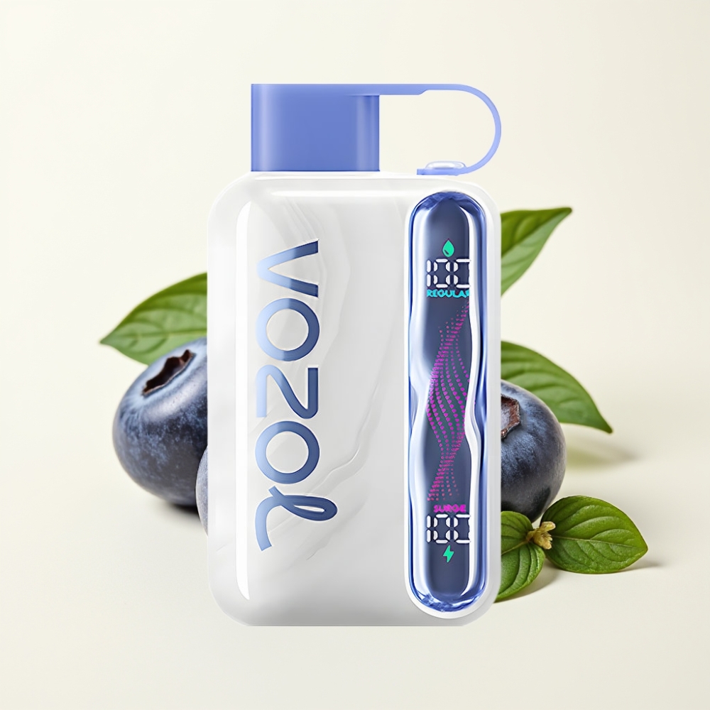 VOZOL STAR 40000 Puffs Vape Desechable Menta Arándano 1000mAh