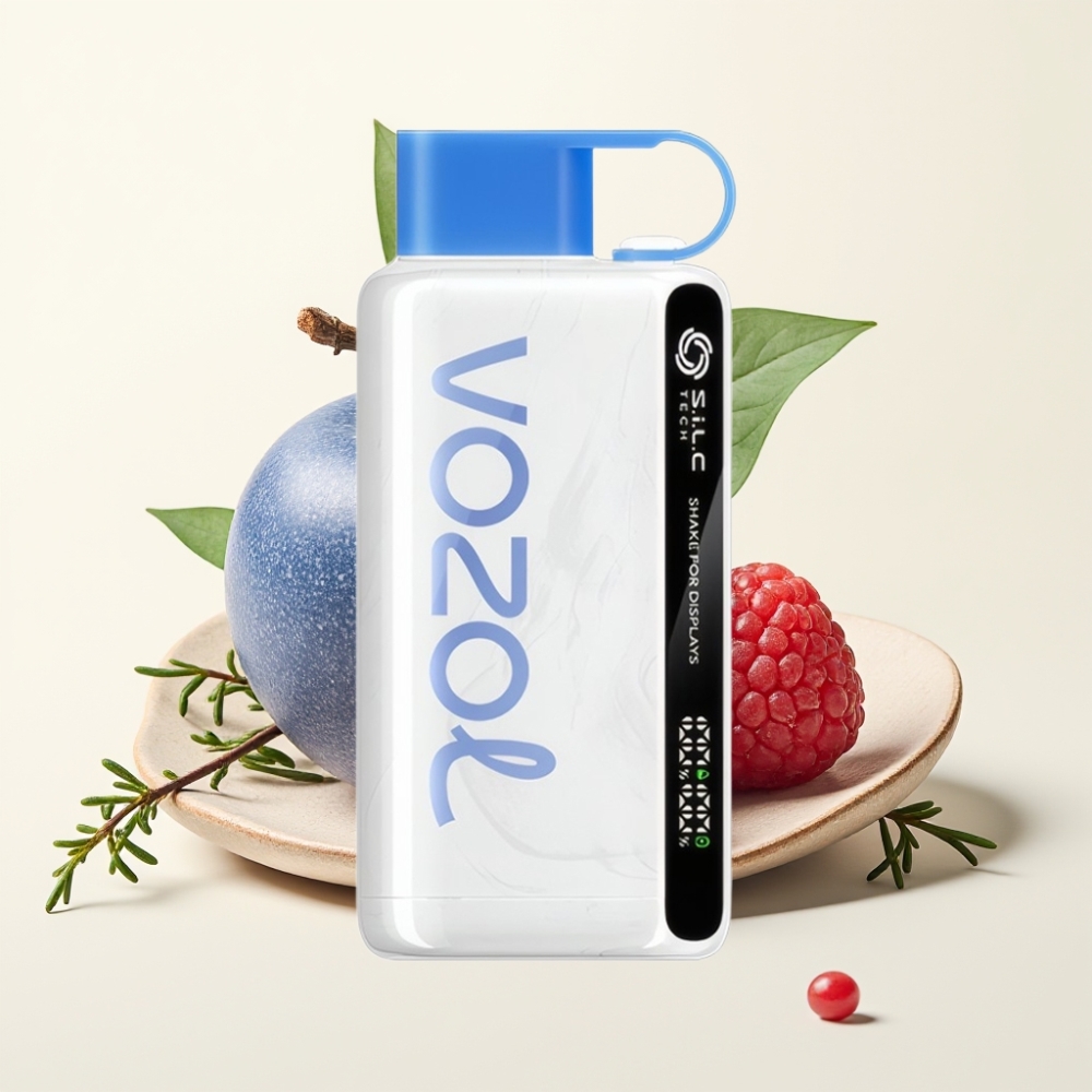 VOZOL STAR 9000/12000 Desechable Vape Frambuesa Azul Helada con carga 30% más rápida